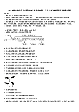 2025届山东省章丘市第四中学生物高一第二学期期末学业质量监测模拟试题含解析
