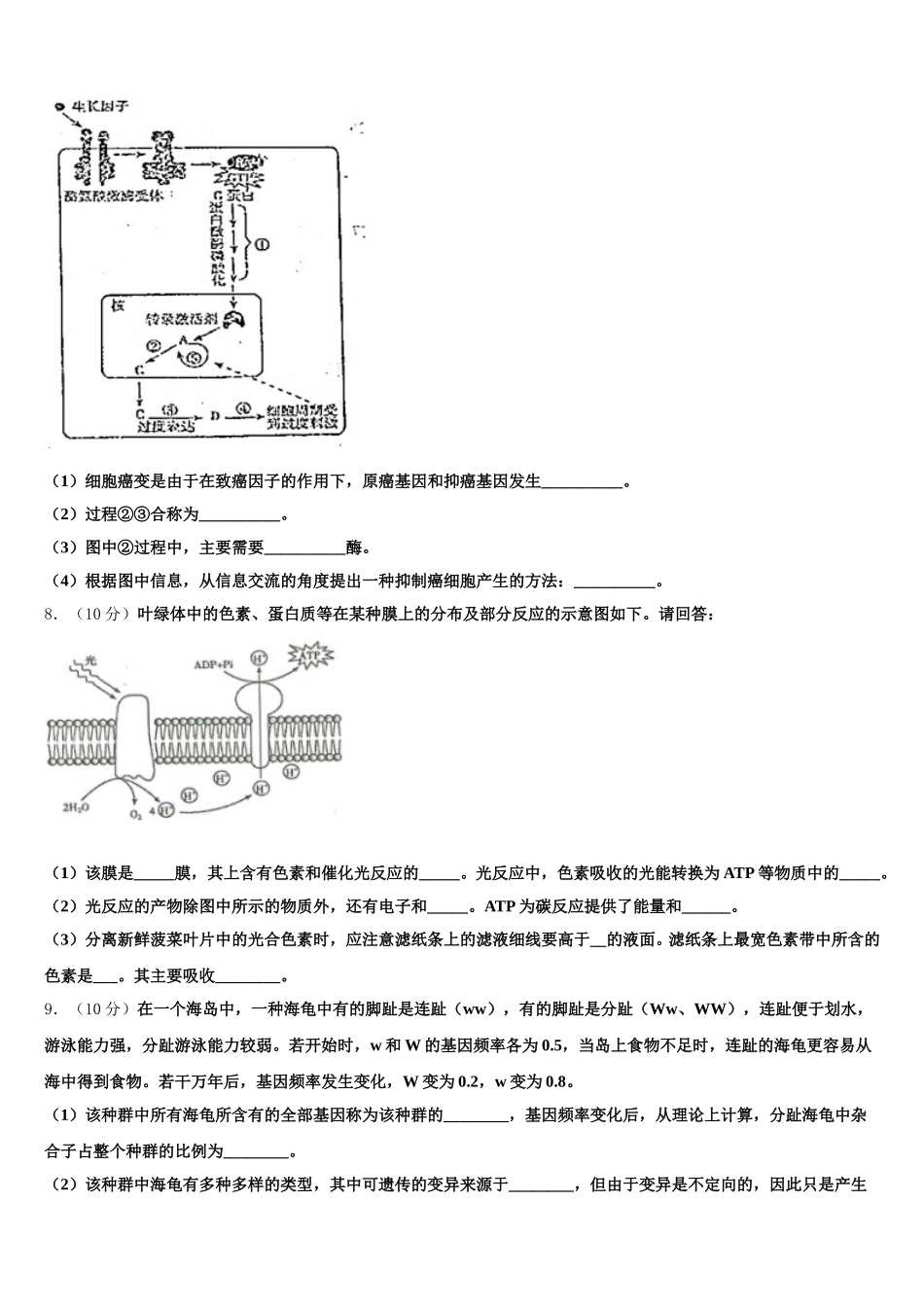 山东省微山二中2025届高一生物第二学期期末调研模拟试题含解析_第3页