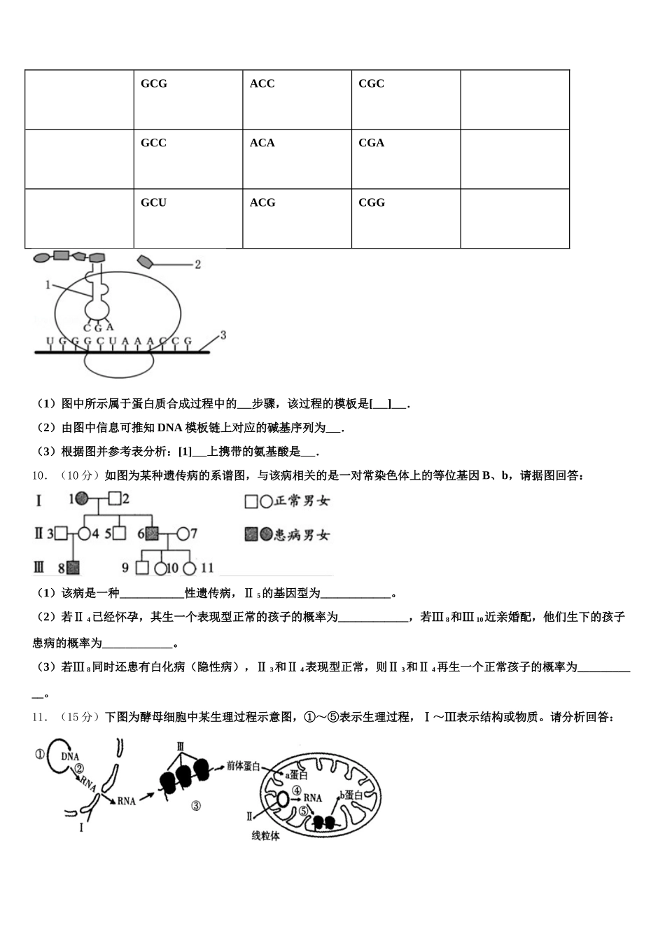 山东省滨州市邹平县黄山中学2025年生物高一下期末质量检测试题含解析_第3页