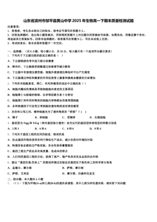 山东省滨州市邹平县黄山中学2025年生物高一下期末质量检测试题含解析