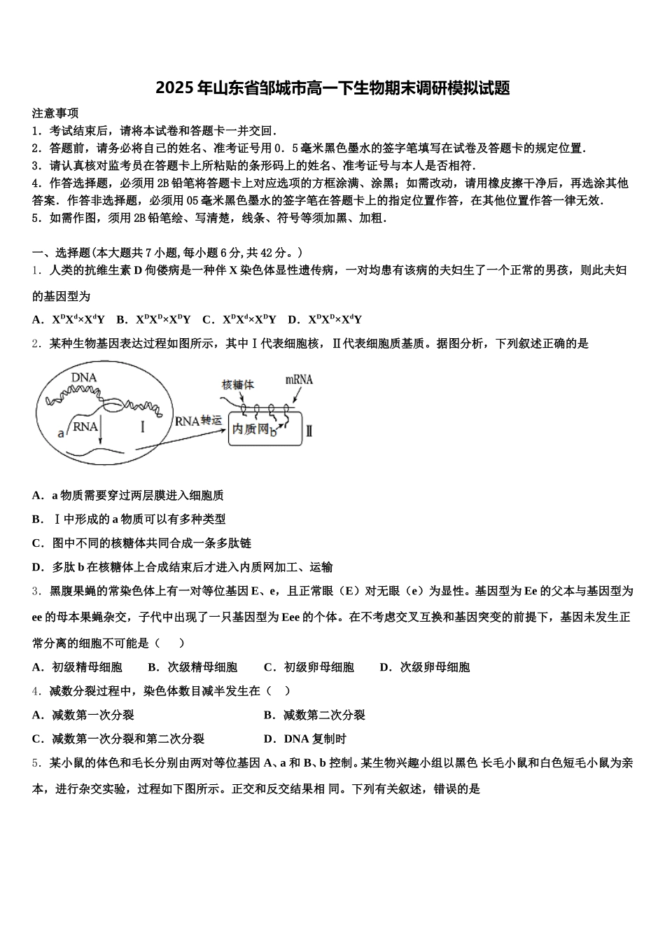 2025年山东省邹城市高一下生物期末调研模拟试题含解析_第1页