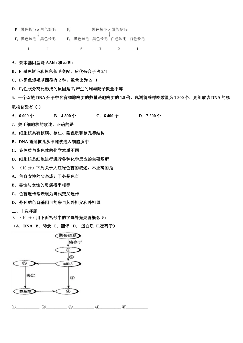 2025年山东省邹城市高一下生物期末调研模拟试题含解析_第2页