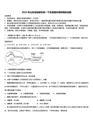 2025年山东省邹城市高一下生物期末调研模拟试题含解析