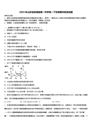 2025年山东省武城县第一中学高一下生物期末检测试题含解析