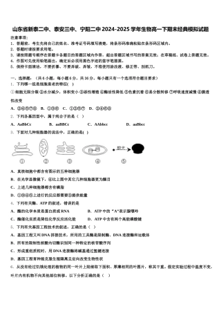 山东省新泰二中、泰安三中、宁阳二中2024-2025学年生物高一下期末经典模拟试题含解析
