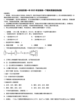 山东省乐陵一中2025年生物高一下期末质量检测试题含解析