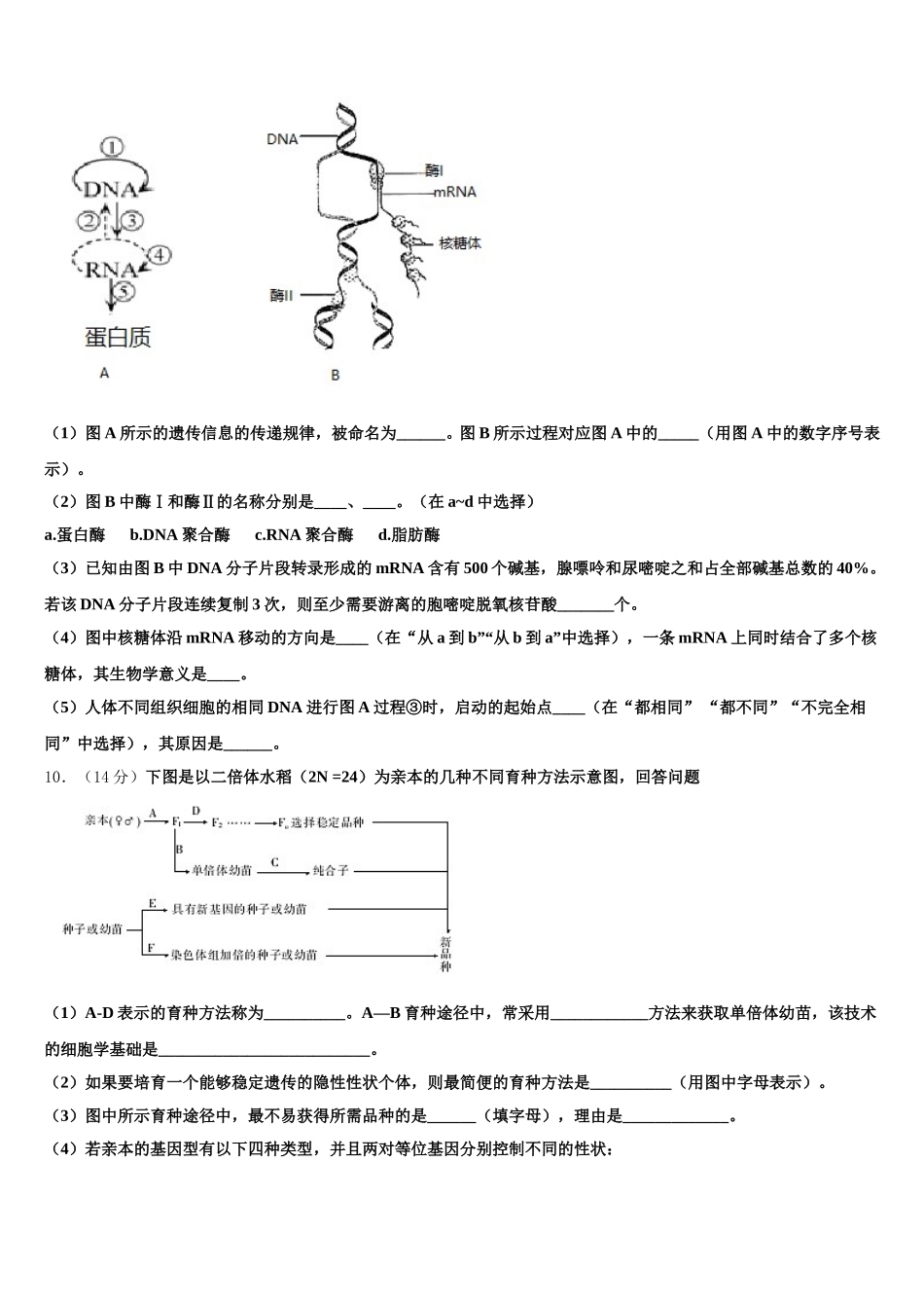 山东省淄博市实验中学2025届生物高一下期末质量检测试题含解析_第3页