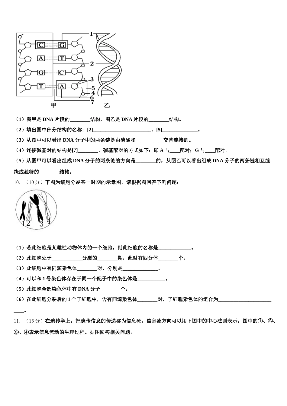 山东省寿光市第一中学2025届高一下生物期末考试模拟试题含解析_第3页
