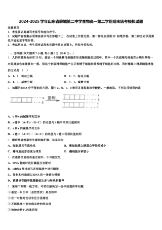 2024-2025学年山东省聊城第二中学生物高一第二学期期末统考模拟试题含解析
