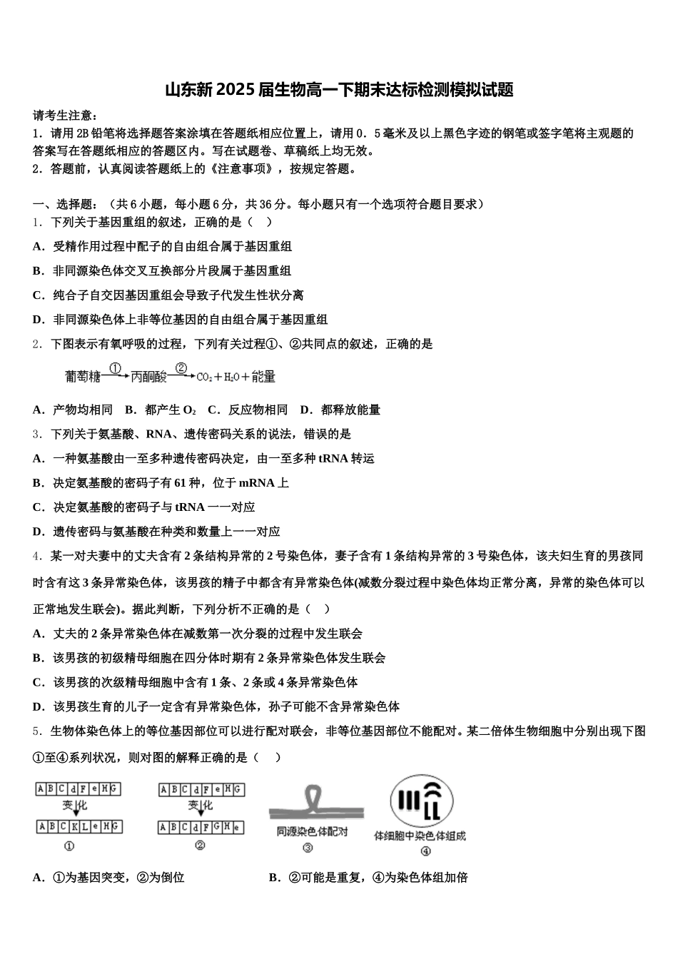 山东新2025届生物高一下期末达标检测模拟试题含解析_第1页
