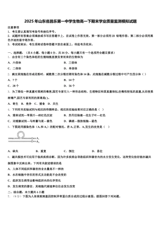 2025年山东省昌乐第一中学生物高一下期末学业质量监测模拟试题含解析
