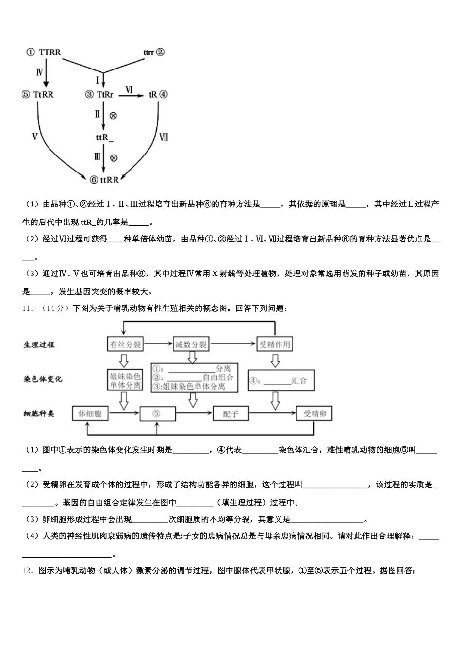 2025届山东省济南第一中学高一生物第二学期期末教学质量检测模拟试题含解析_第3页
