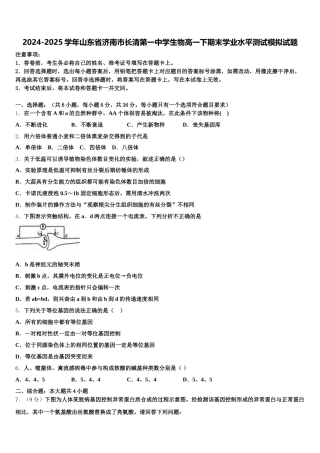 2024-2025学年山东省济南市长清第一中学生物高一下期末学业水平测试模拟试题含解析