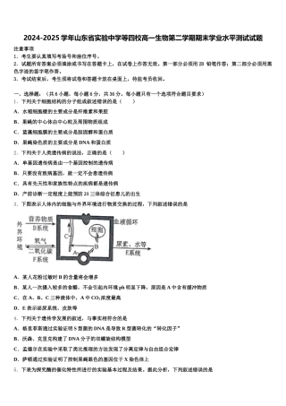 2024-2025学年山东省实验中学等四校高一生物第二学期期末学业水平测试试题含解析
