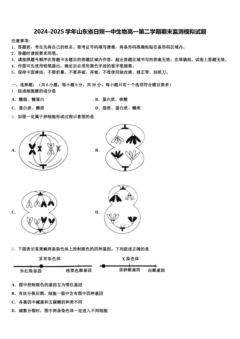 2024-2025学年山东省日照一中生物高一第二学期期末监测模拟试题含解析_第1页