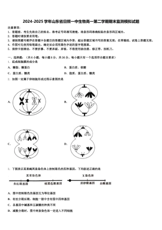 2024-2025学年山东省日照一中生物高一第二学期期末监测模拟试题含解析