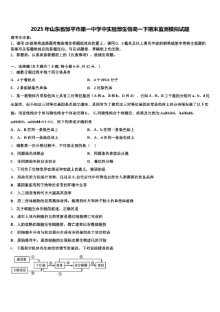 2025年山东省邹平市第一中学中实验部生物高一下期末监测模拟试题含解析