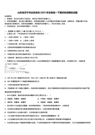 山东省济宁市达标名校2025年生物高一下期末检测模拟试题含解析