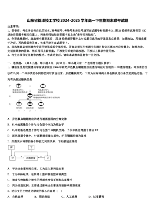 山东省锦泽技工学校2024-2025学年高一下生物期末联考试题含解析