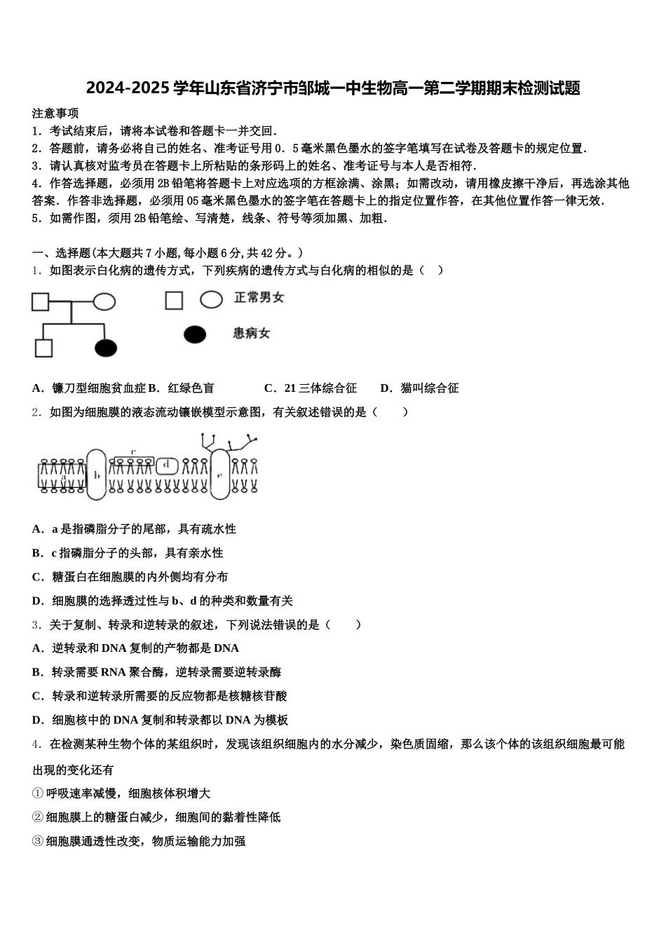 2024-2025学年山东省济宁市邹城一中生物高一第二学期期末检测试题含解析_第1页