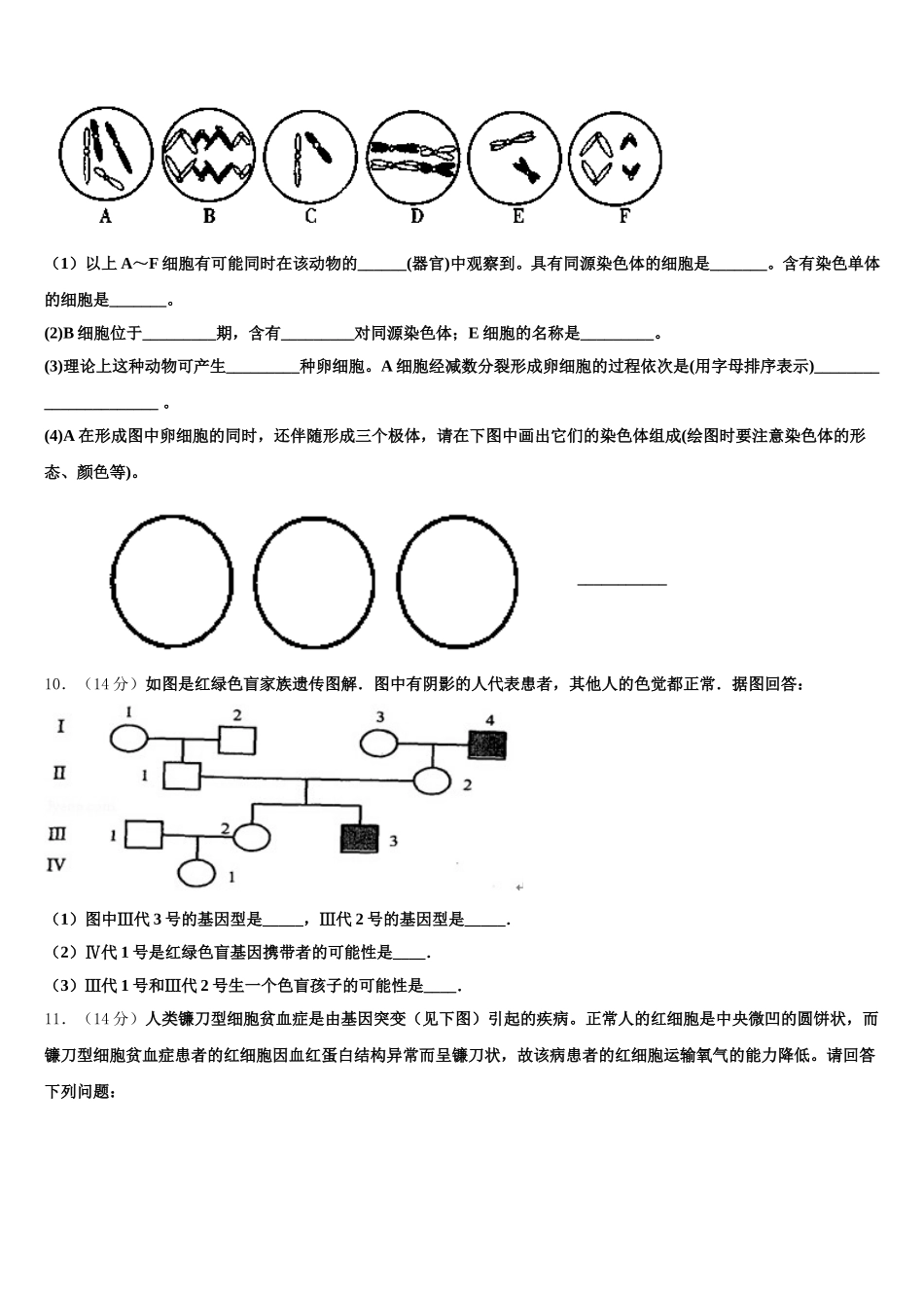 2024-2025学年山东省济宁市邹城一中生物高一第二学期期末检测试题含解析_第3页