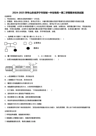 2024-2025学年山东省济宁市邹城一中生物高一第二学期期末检测试题含解析