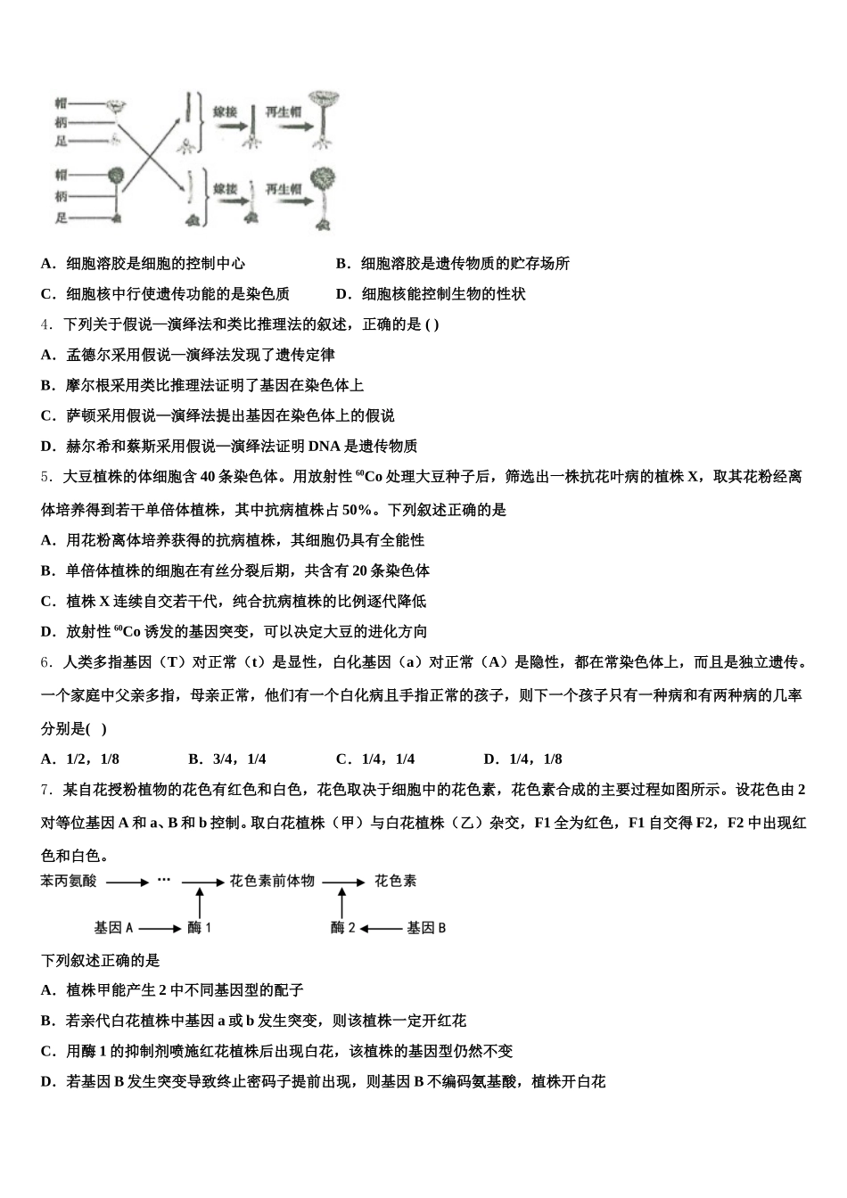 2024-2025学年威海市重点中学高一生物第二学期期末教学质量检测试题含解析_第2页