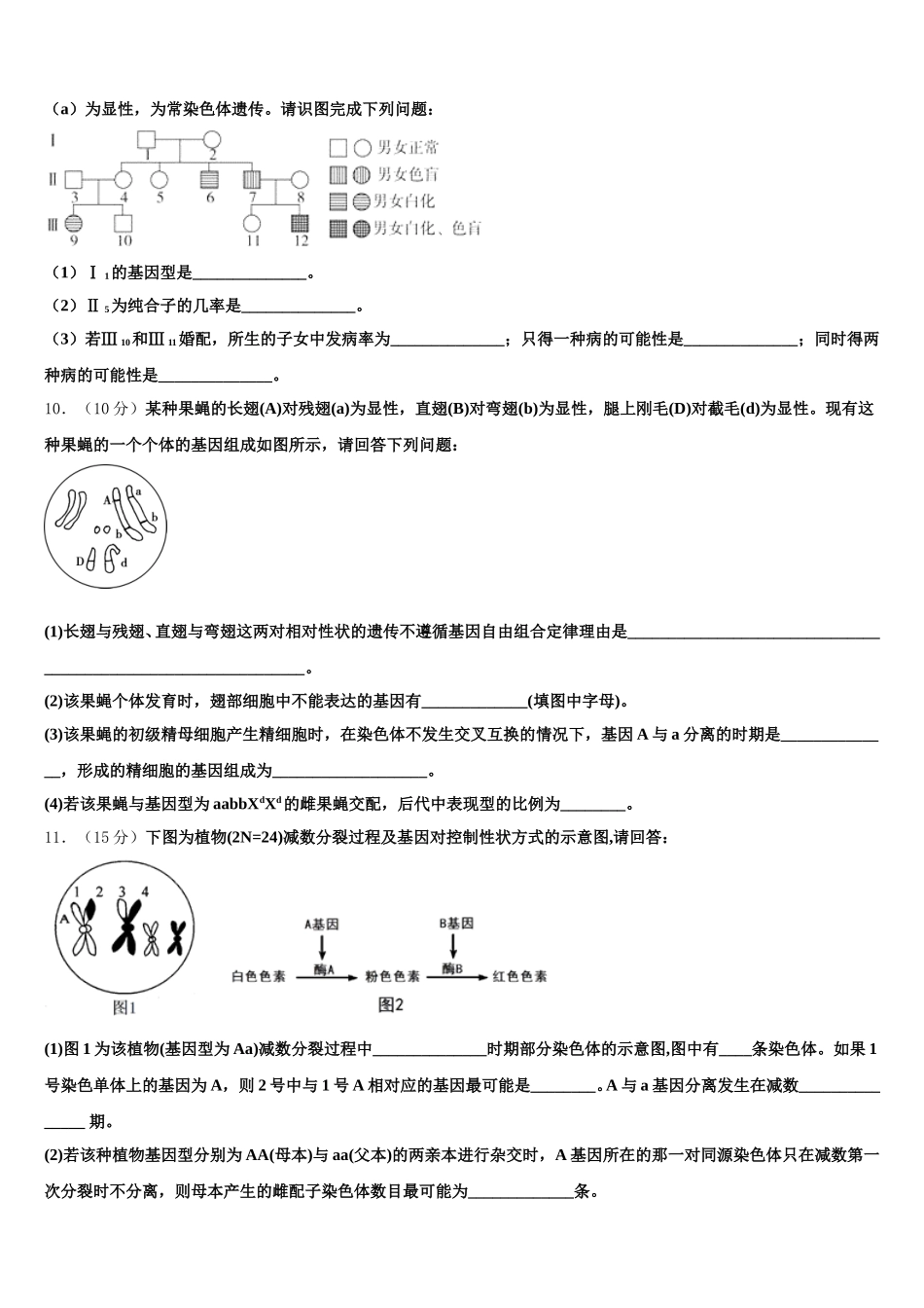 2025届山东省枣庄市滕州市滕州市第一中学高一生物第二学期期末达标测试试题含解析_第3页