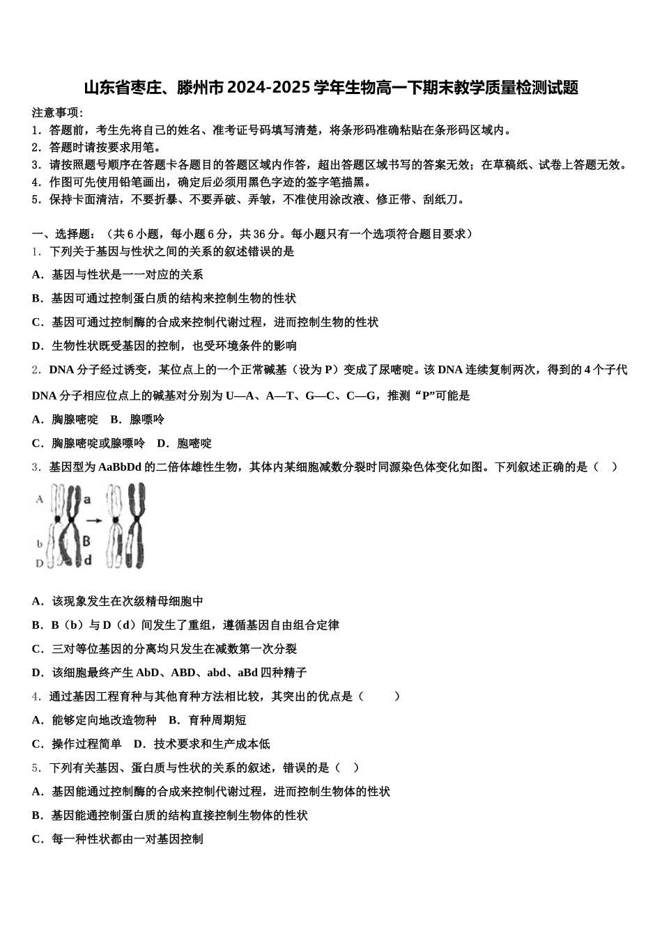 山东省枣庄、滕州市2024-2025学年生物高一下期末教学质量检测试题含解析_第1页