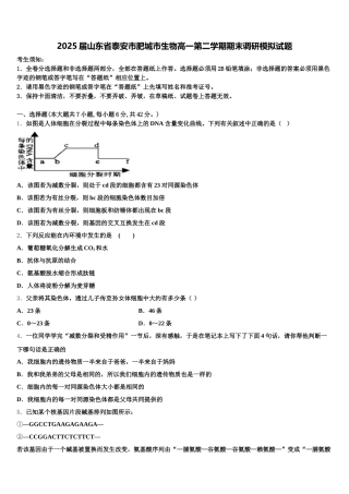 2025届山东省泰安市肥城市生物高一第二学期期末调研模拟试题含解析