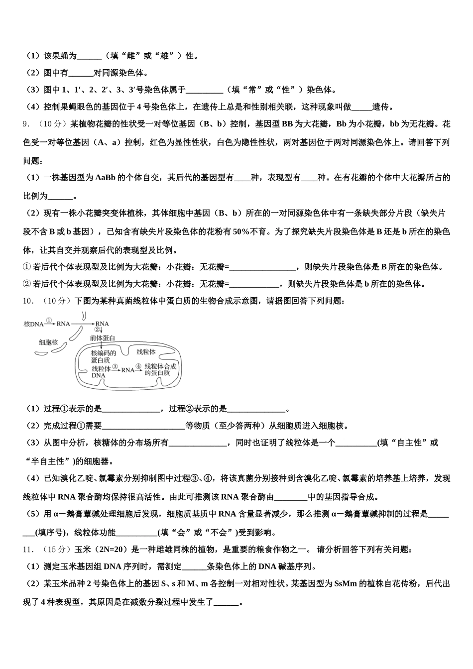 山东省泰安市泰山区泰安一中2024-2025学年高一下生物期末质量检测试题含解析_第3页