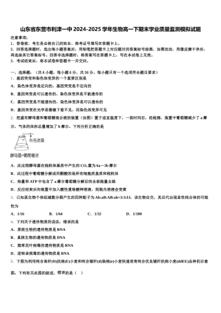 山东省东营市利津一中2024-2025学年生物高一下期末学业质量监测模拟试题含解析