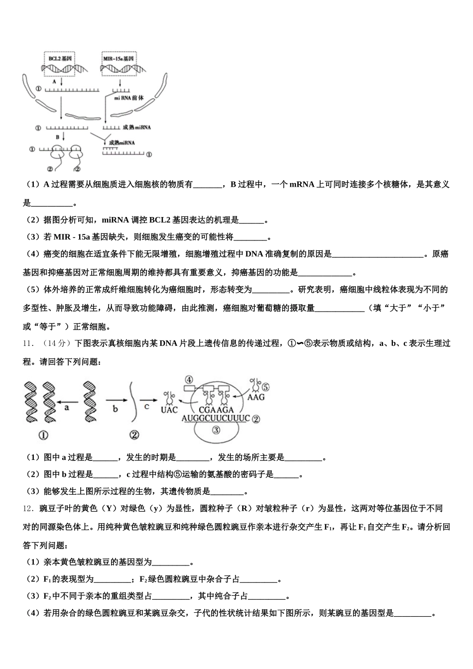 山东省昌乐博闻学校2025年生物高一下期末经典试题含解析_第3页