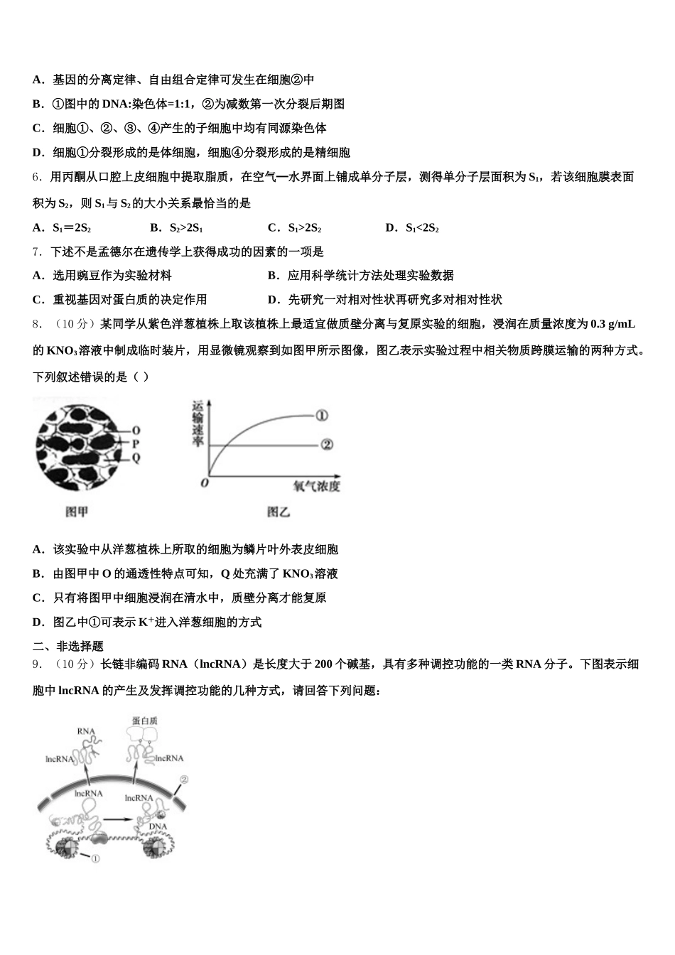 2025届山东省章丘市第四中学生物高一下期末调研试题含解析_第2页