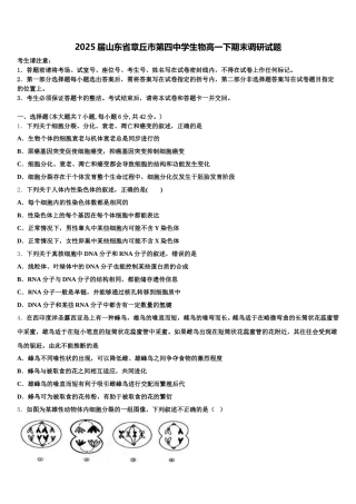 2025届山东省章丘市第四中学生物高一下期末调研试题含解析