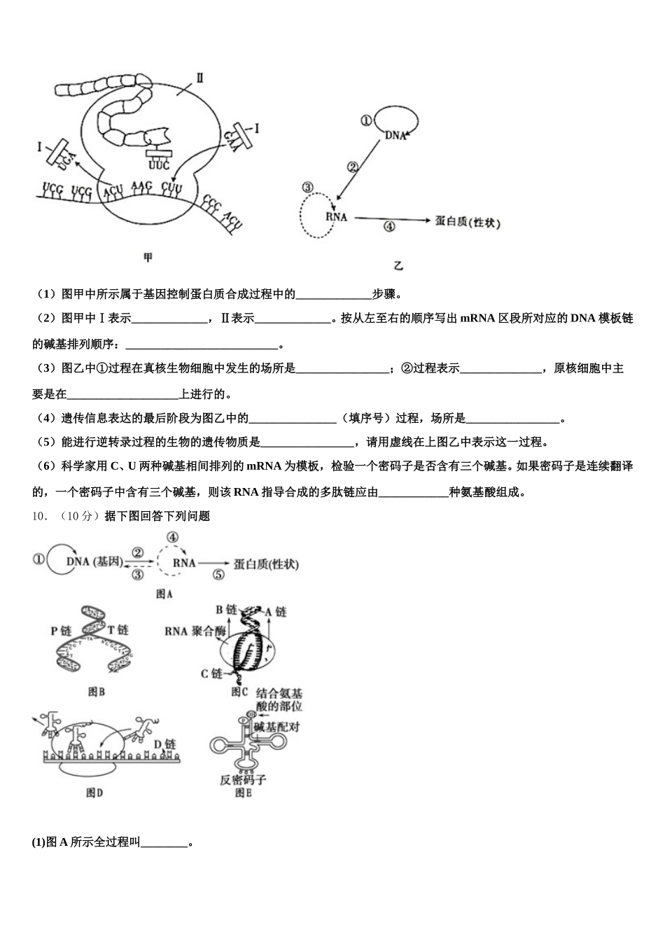 山东省邹平市第一中学中实验部2024-2025学年高一下生物期末统考试题含解析_第3页