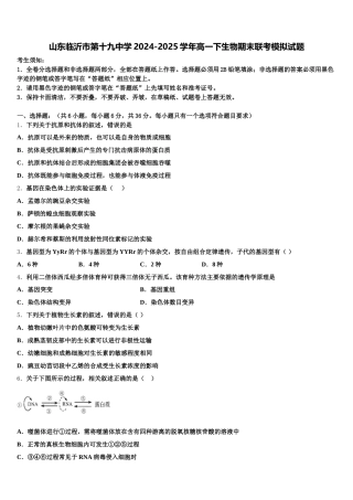 山东临沂市第十九中学2024-2025学年高一下生物期末联考模拟试题含解析