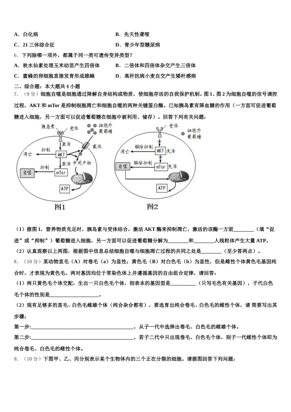 山东省青岛市实验高中2024-2025学年高一下生物期末教学质量检测试题含解析_第2页