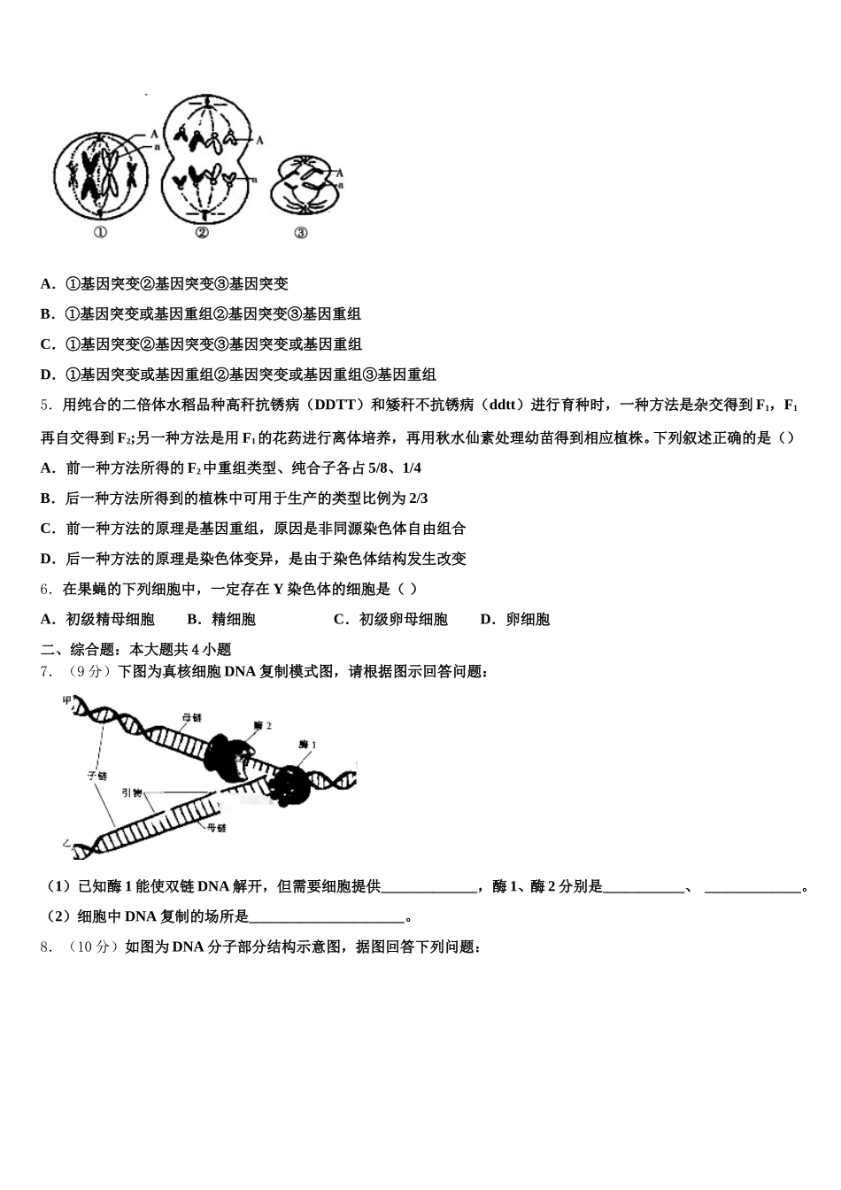 2025届山东省济宁市兖州区高一生物第二学期期末考试模拟试题含解析_第2页