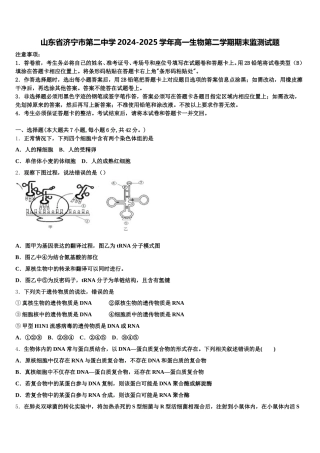 山东省济宁市第二中学2024-2025学年高一生物第二学期期末监测试题含解析