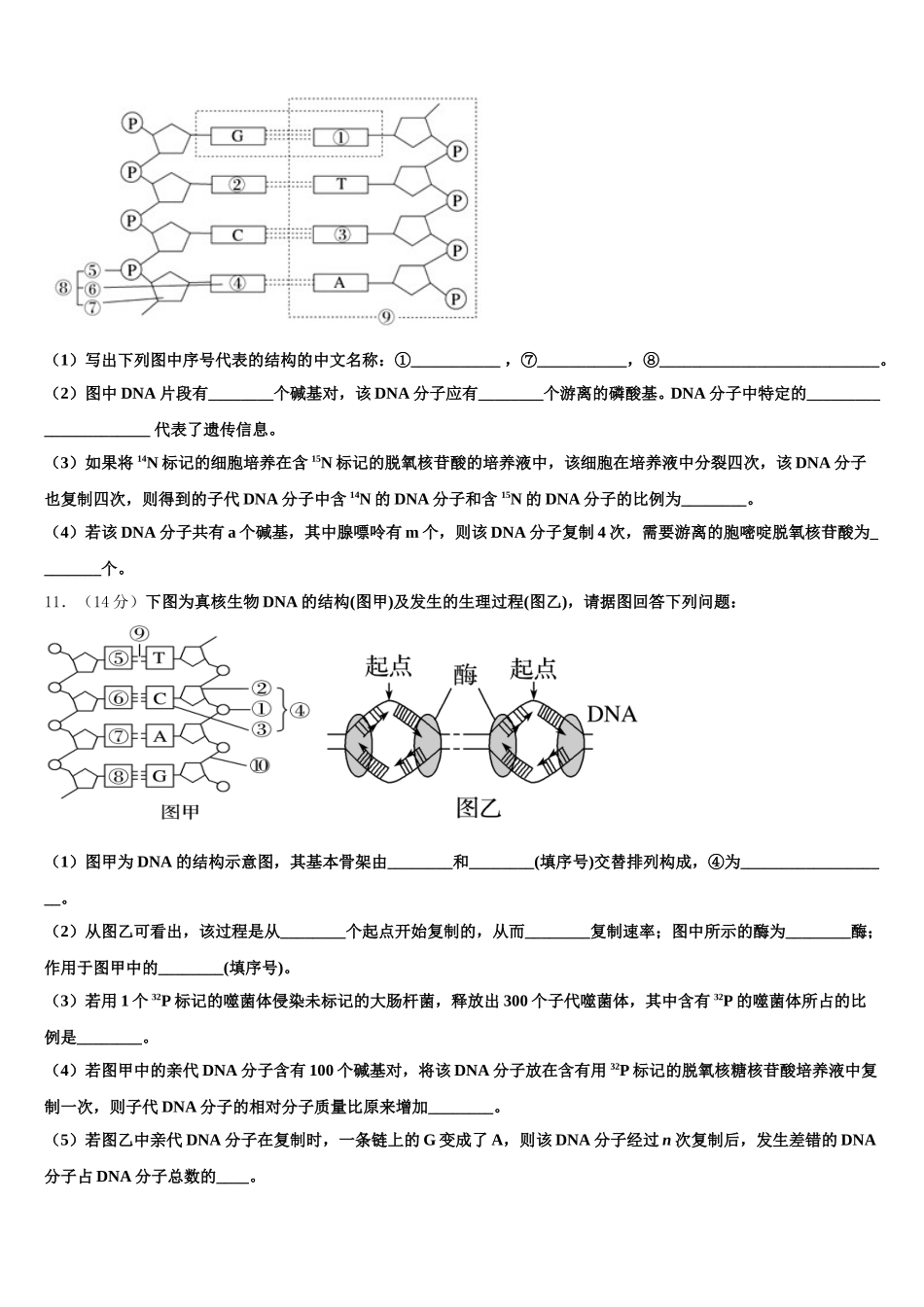 山东省单县第五中学2024-2025学年生物高一第二学期期末达标检测模拟试题含解析_第3页