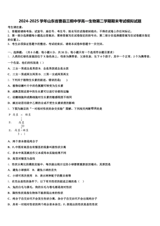 2024-2025学年山东省曹县三桐中学高一生物第二学期期末考试模拟试题含解析