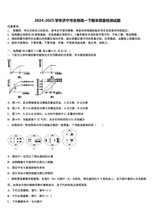 2024-2025学年济宁市生物高一下期末质量检测试题含解析