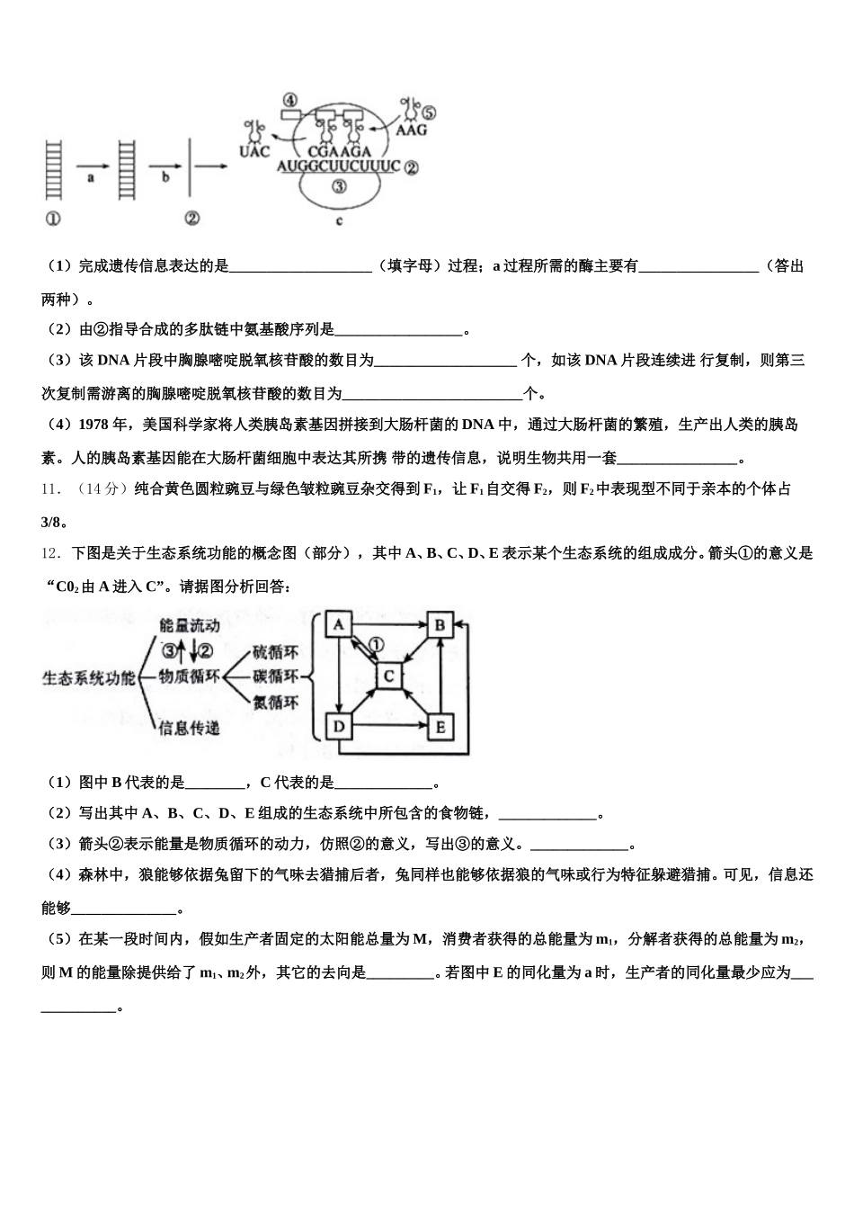 2024-2025学年山东省济南市章丘区高一下生物期末学业质量监测试题含解析_第3页