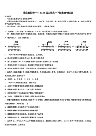 山东省恒台一中2025届生物高一下期末统考试题含解析