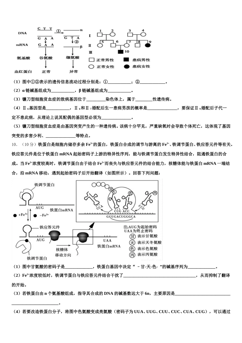 2025届山东省邹城市高一下生物期末联考试题含解析_第3页