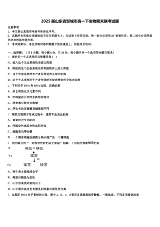 2025届山东省邹城市高一下生物期末联考试题含解析