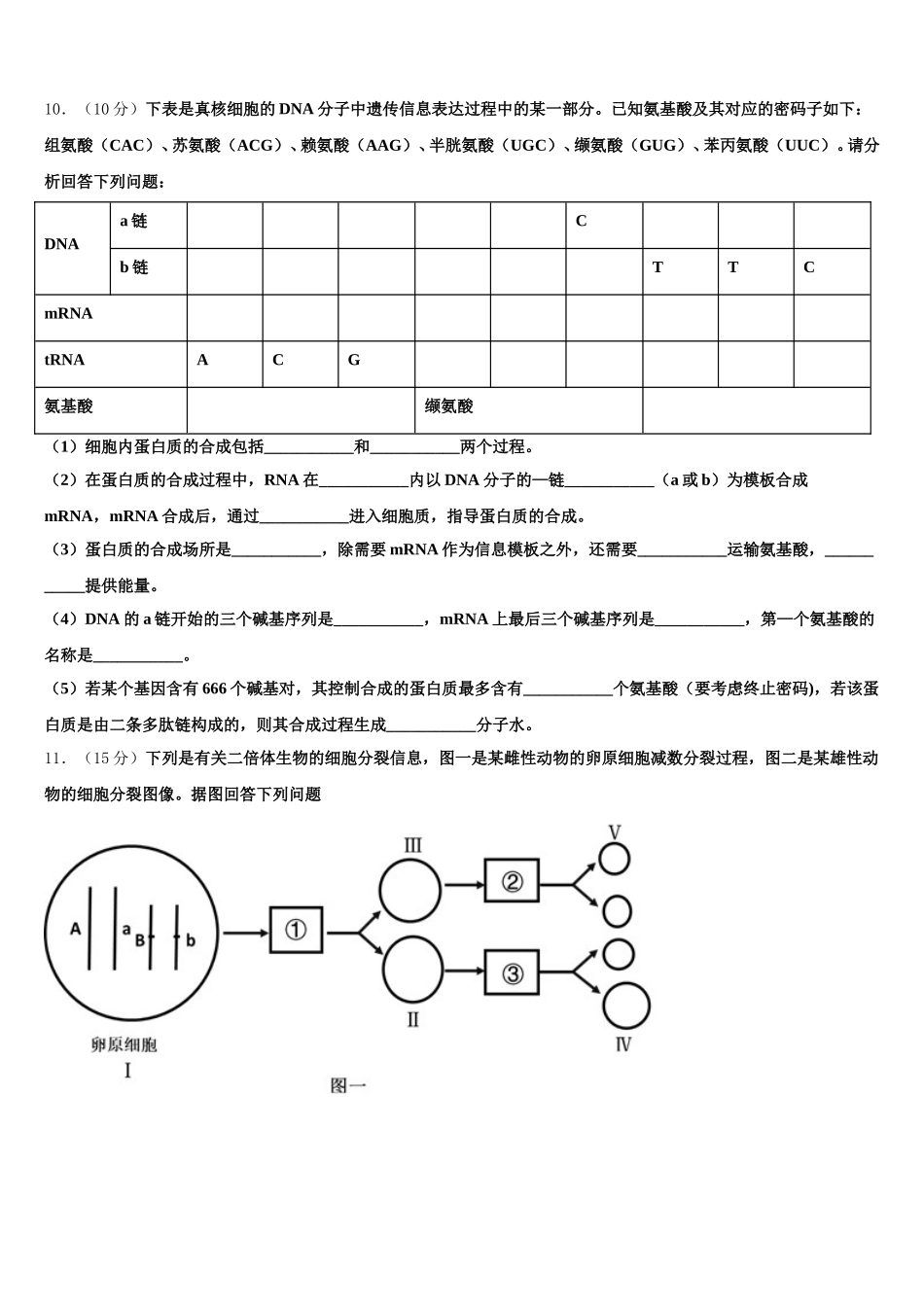 2024-2025学年山东省淄博市生物高一下期末学业水平测试模拟试题含解析_第3页