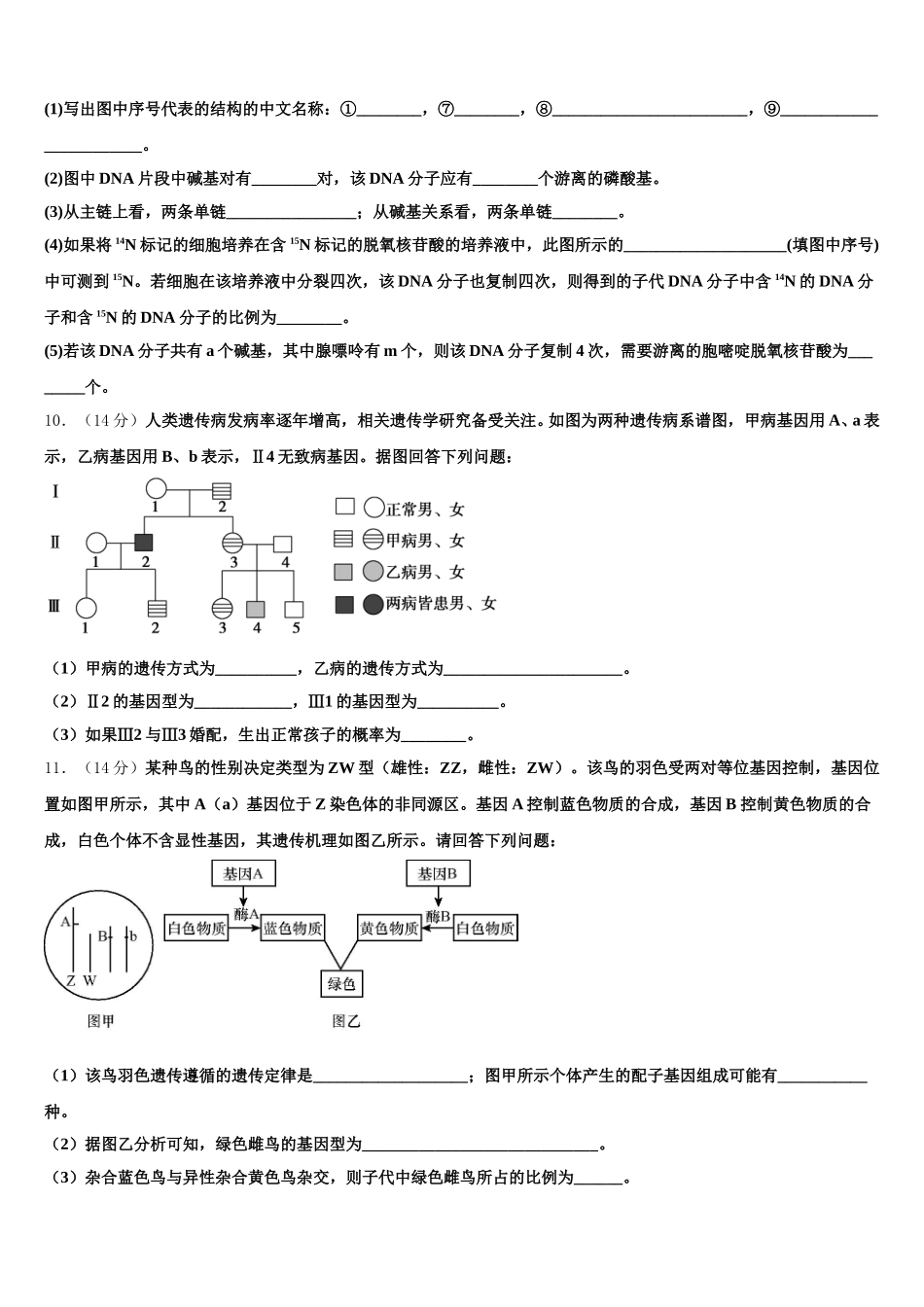 山东省肥城市泰西中学2025届高一下生物期末学业水平测试模拟试题含解析_第3页