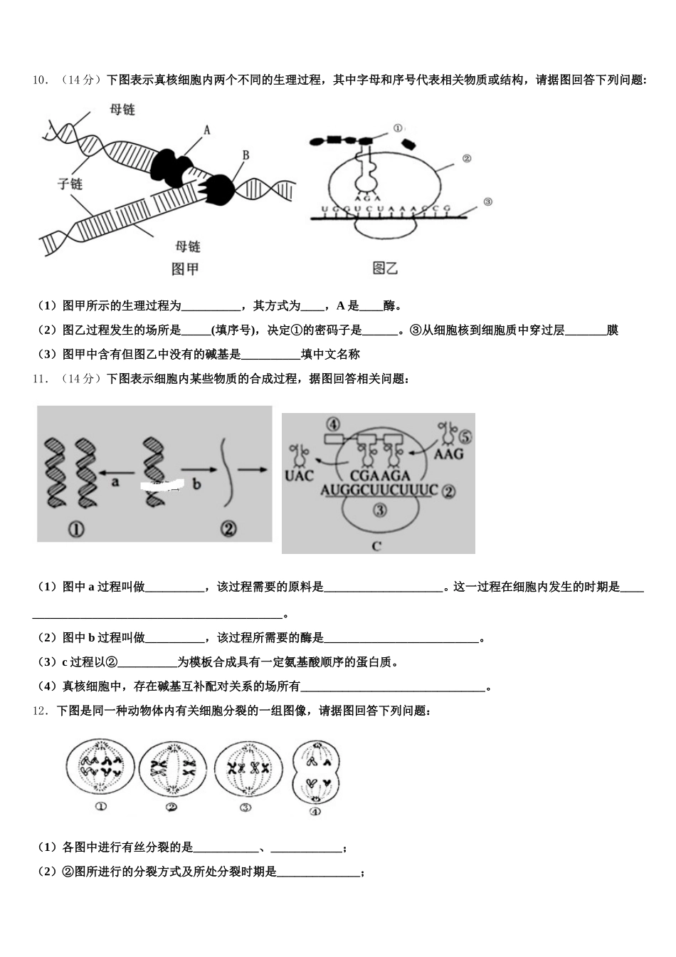 2024-2025学年山东省济宁市第一中学高一下生物期末统考模拟试题含解析_第3页